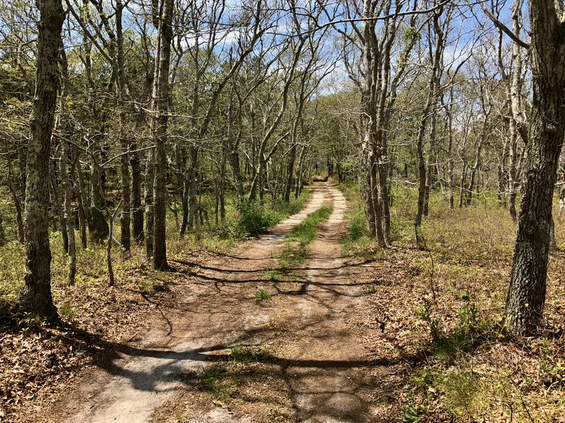 Experiencing the Old King's Highway seems to bring you back in time.