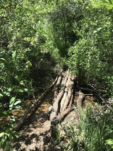 Navigate this stream crossing immediately after turning south off the Harrison Trail.