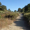 This is looking north up Crest Canyon.