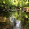 Calm waters meander on the North Fork Little River.