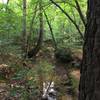 Rocky Bottom Creek trickles into the wide North Fork Little River.