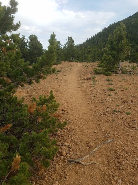 This is another barren portion of the trail up Mount Rosa (#673).