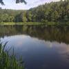 This is picture from the trail of one of the long arms of the lake. The fish were jumping.