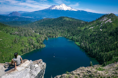 are dogs allowed at klamath national forest