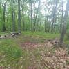 This is the shady summit of Gardiner Mountain.