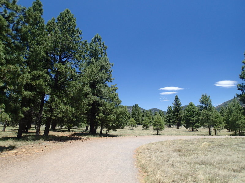 Buffalo Park Loop Trail is a wide foot path.