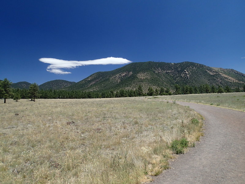 The Buffalo Park Loop Trail is a wide foot path offering gorgeous views.
