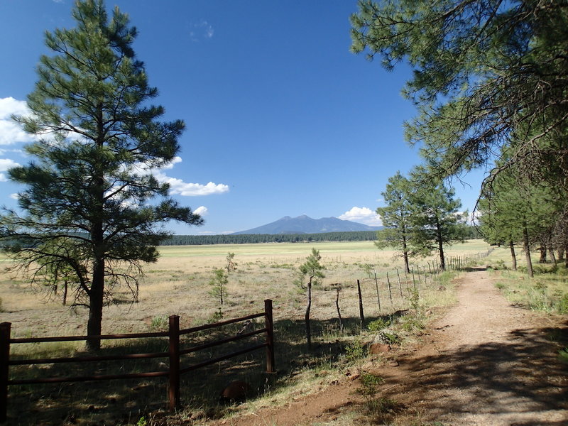 Enjoy the view of San Francisco Peak looking north from the trail.