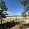 Enjoy the view of San Francisco Peak looking north from the trail.