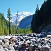 Mount Rainier stands upstream of the Wonderland Trail-Northern Loop intersection.