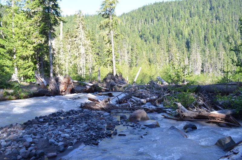 This was one third of the White River crossing (July 1, 2017). Head upstream once you've crossed the first section and look for shallow areas. Trekking poles and good footing is critical!