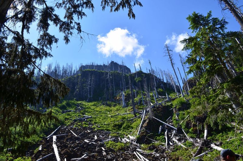 Enjoy gorgeous views along the Northern Loop.