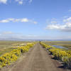 Perfect fall day on Modoc Line Rail Trail.