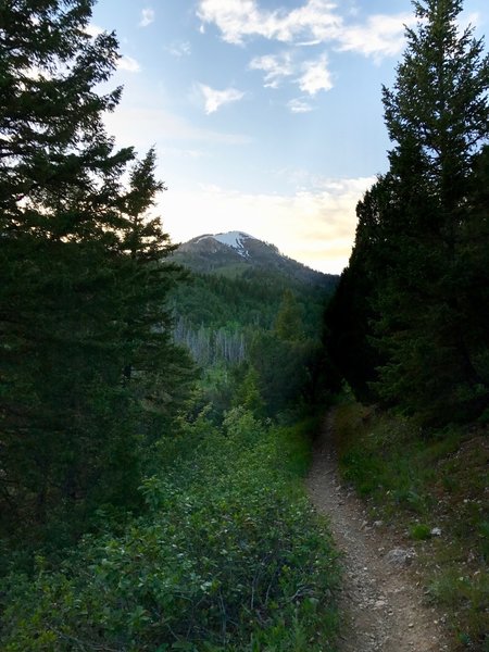 The Jardine Juniper Trail is phenomenal just before sunset!