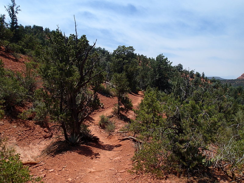 The Cibola Pass Trail traverses Sedona's characteristic red dirt and scrub vegetation.