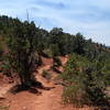 The Cibola Pass Trail traverses Sedona's characteristic red dirt and scrub vegetation.