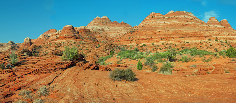 Colorful hills surround The Wave.