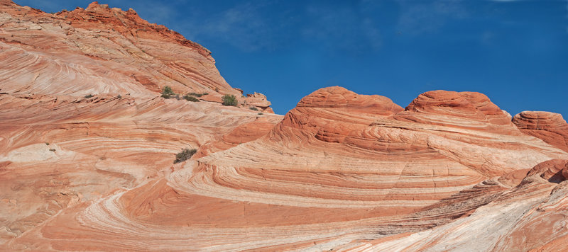 Experience colorful swirls in the area of Wave 2.