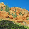 The Castle Bridge Trail passes by one fantastic rock formation after another for its entire length.