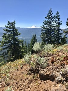 Revel in the view of Mt. Rainier from the top of the Kachess Beacon Trail.