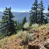 Revel in the view of Mt. Rainier from the top of the Kachess Beacon Trail.