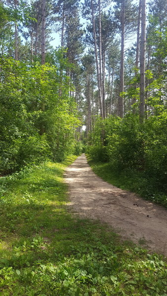 This is pretty typical for the Scuppernong Trail.