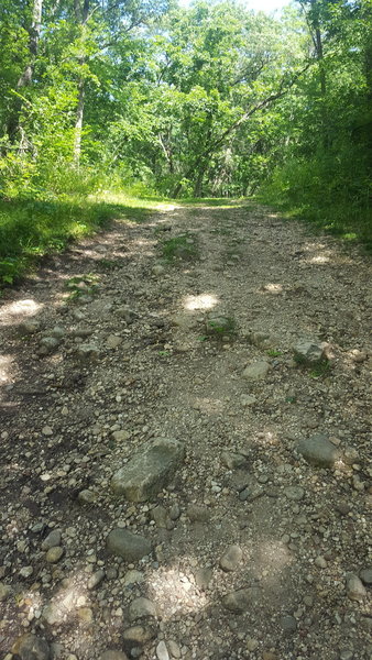 The Scuppernong Trail can be rocky in sections.