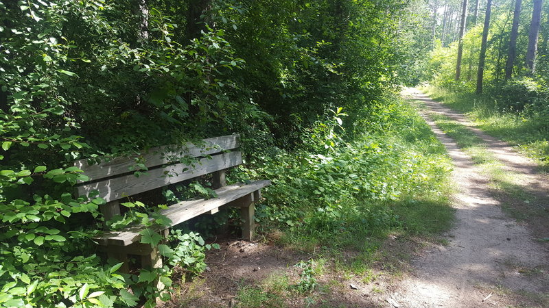 The Scuppernong Trail has pleasant (albeit slightly overgrown) benches periodically along its length.