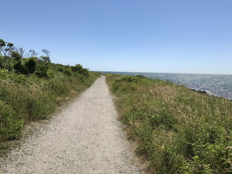 The Ocean Loop Trail offers purely phenomenal views.