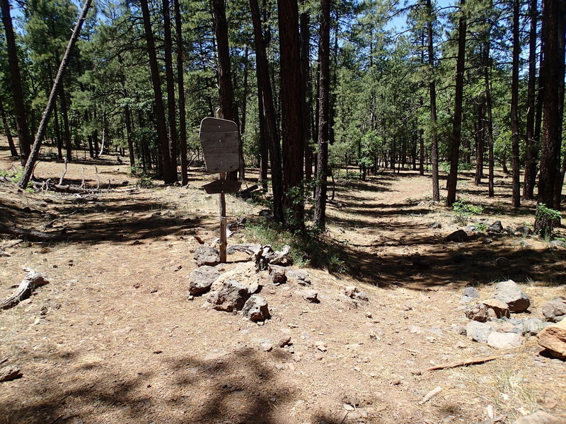 This is the trailhead for Dorsey Spring Trail (right) and Hog Hill Trail (left).