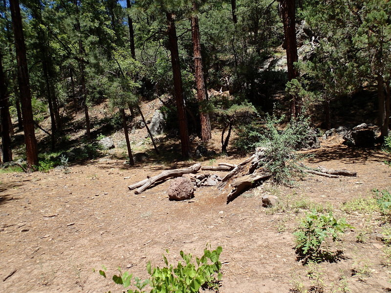 This backcountry campsite is located near Dorsey Spring.