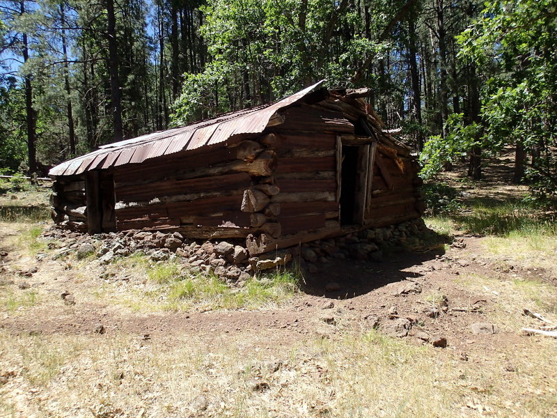 This old winter cabin barely stands along the Hog Hill Trail.