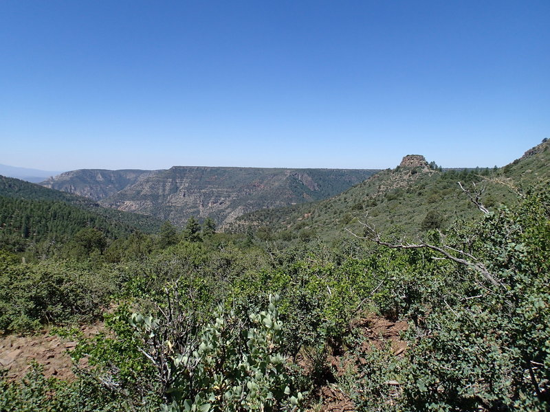 Looking north from the Kelsey Spring Trail, enjoy this pleasant view.