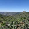 Looking north from the Kelsey Spring Trail, enjoy this pleasant view.