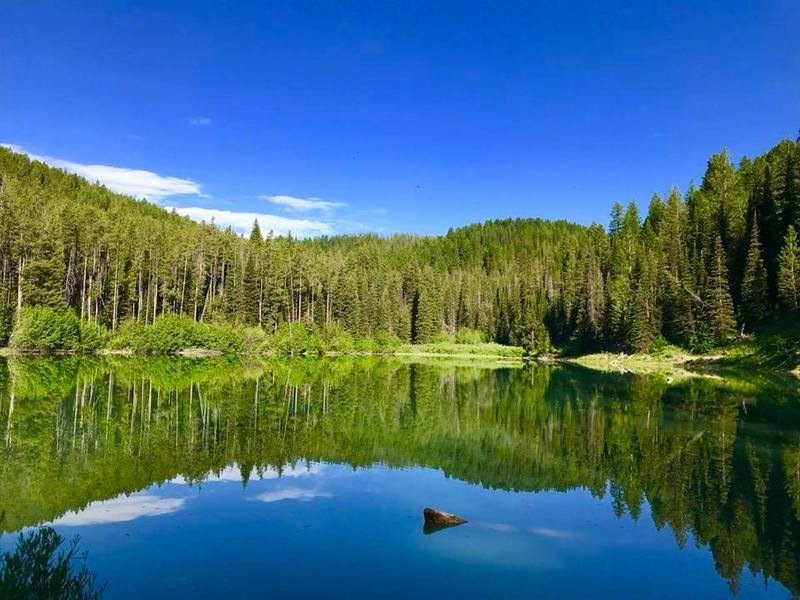 Packsaddle Lake can be as still as a mirror.