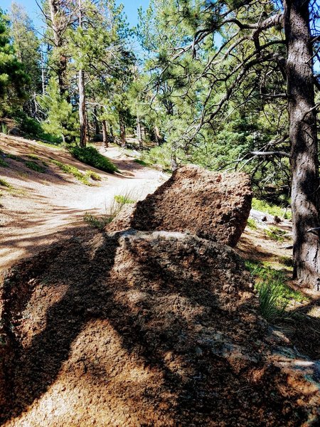 A stone throne alongside the St. Mary Falls path. Nice place to rest after a steep climb.