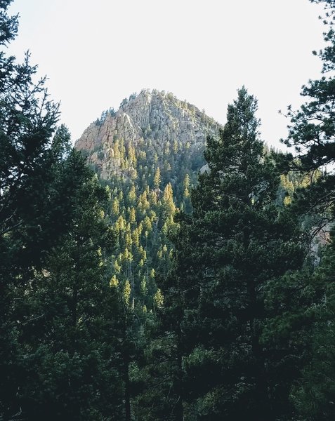 Enjoy a great view of Stove Mountain (9782 ft.) from St. Mary Falls Trail.