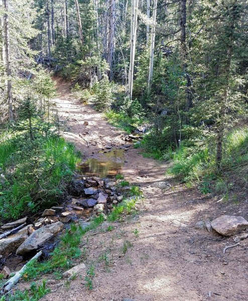 Flowing spring just before last steep slope heading to FSR 381. Great place for lunch!