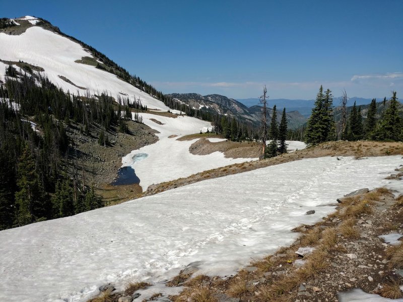 Near Ute Pass, looking toward the Gold Creek Drainage.