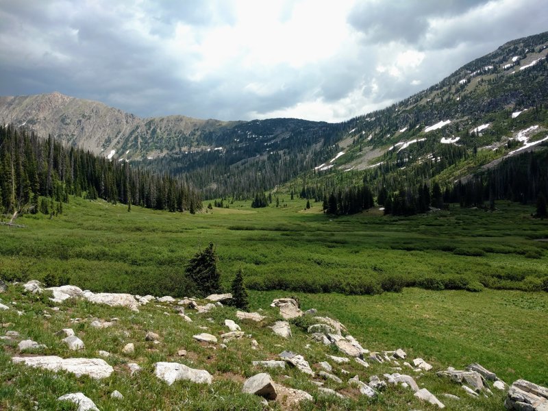 The lush lower Gold Creek meadows.