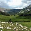 The lush lower Gold Creek meadows.