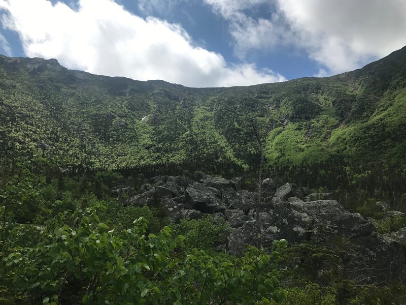 King Ravine headwall from the floor.