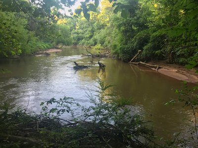 Reedy River