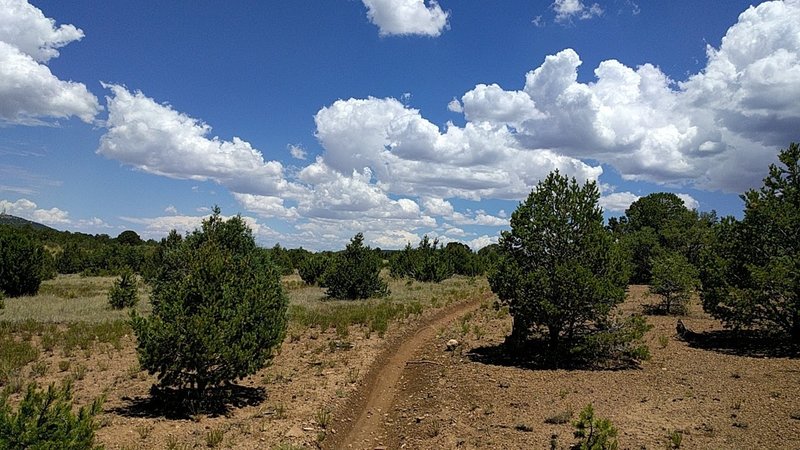 Height of land on Gnasty trail.