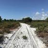 Soft and sandy surface on Paw Paw trail at the north end of Jupiter Ridge Natural Area.