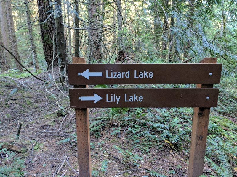 Lily Lizard trail signs, North Butte Trailhead is just uphill.