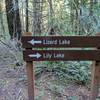 Lily Lizard trail signs, North Butte Trailhead is just uphill.