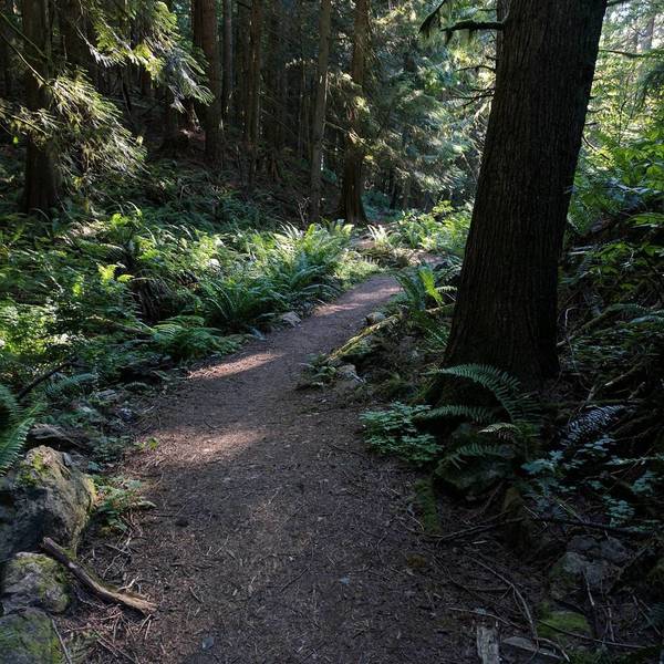 Well-maintained trail.