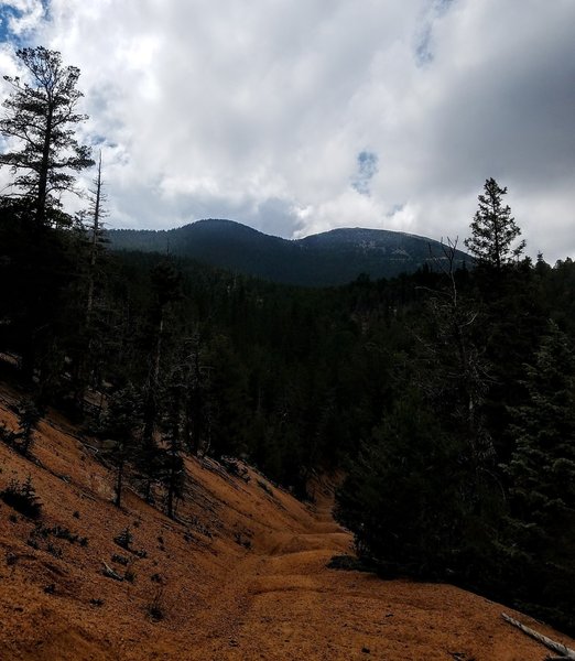 View of Almagre Mountain from Foresters Trail (#701).