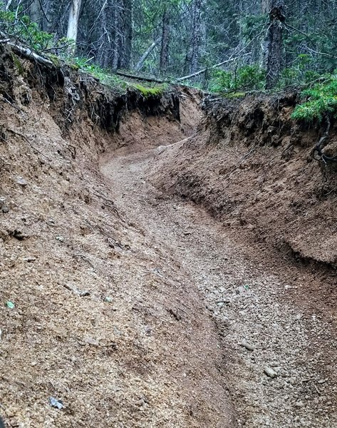 Pipeline Trail (#668) wanders into a deep arroyo.